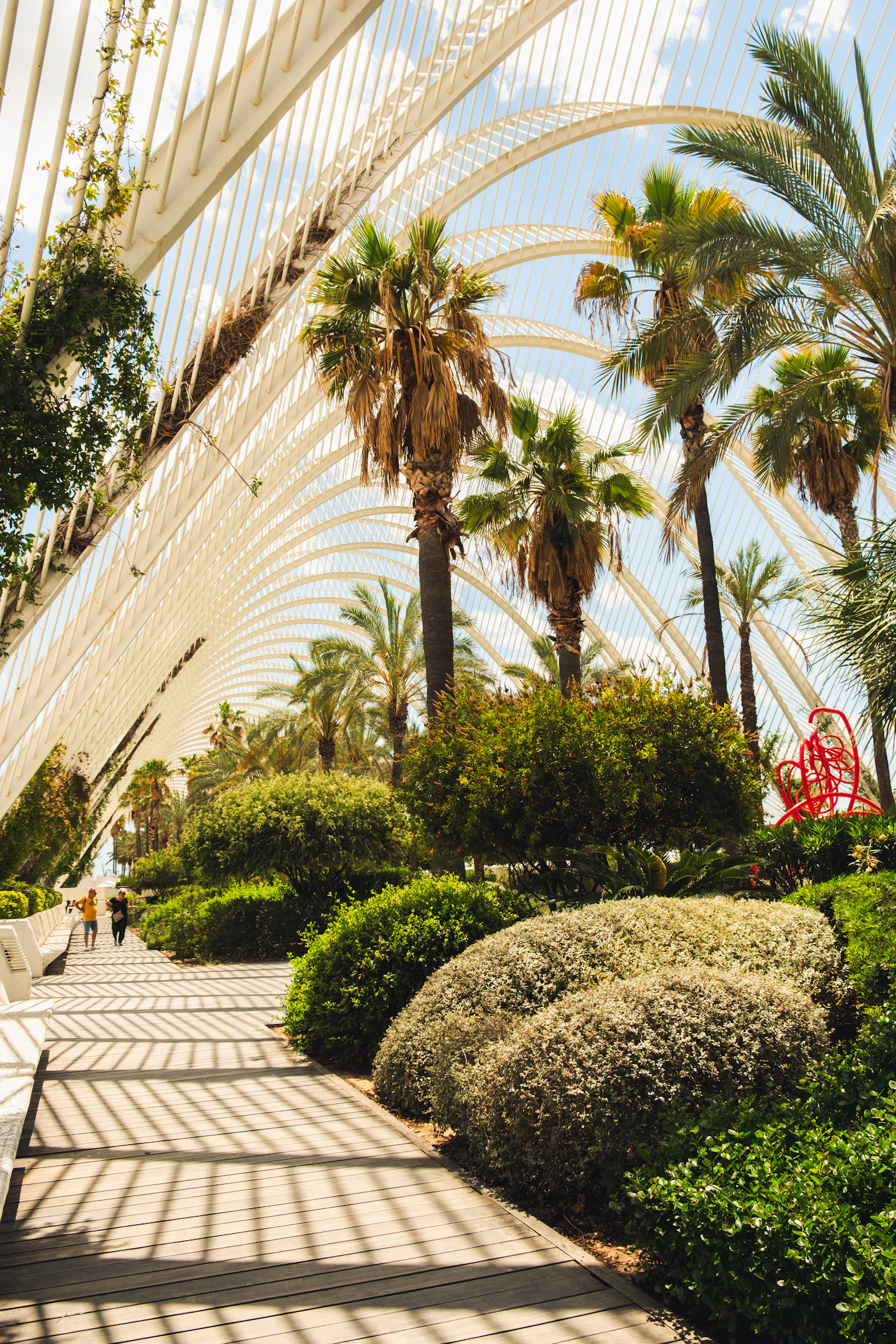 Paseo con palmeras en el Jardín del Turia